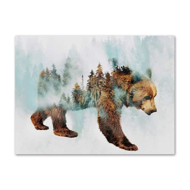 Quadro Orso Su Tela Foresta