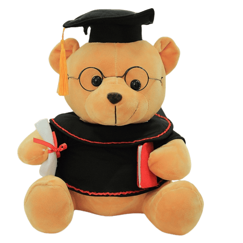 Orso Peluche Harvard